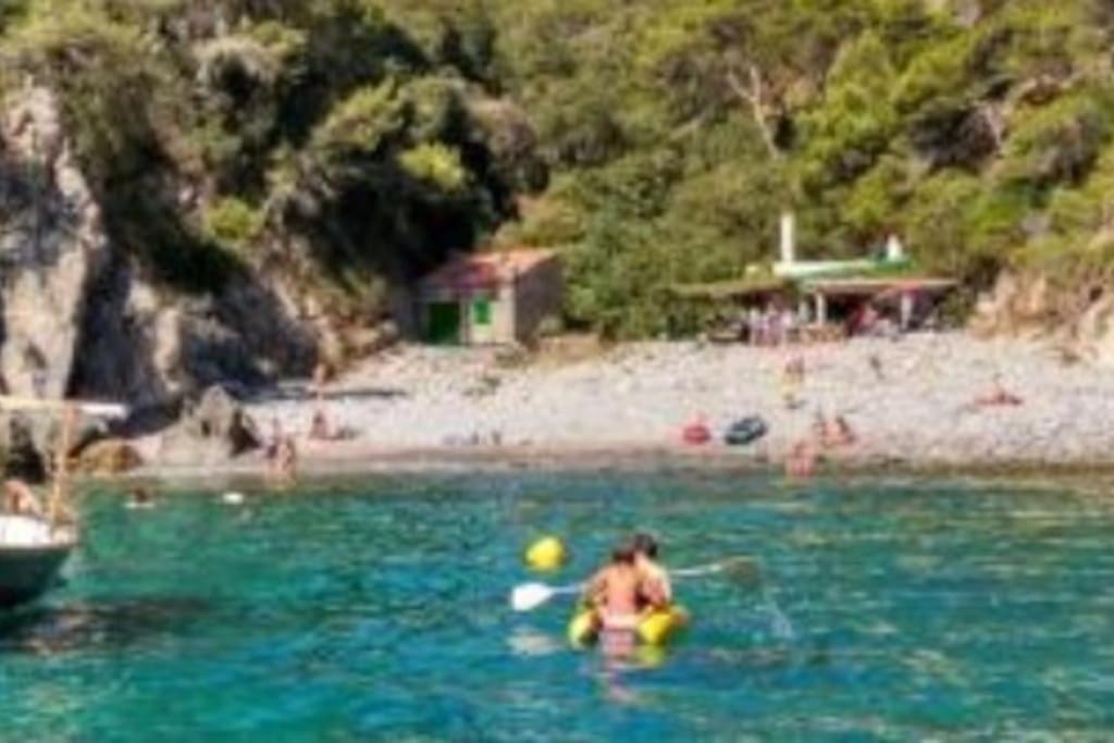 Piscina Playa Wifi Cozy Home Tax Free Palamos Ngoại thất bức ảnh